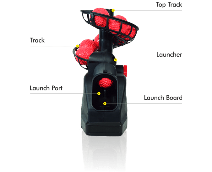 Feed Buddy PRO – Automatic Cricket Feed Machine